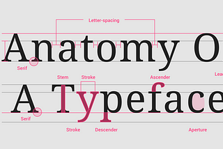 Anatomy of type