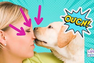 Why Does My Dog Bite Me And Not My Husband?