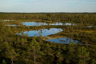 The rocky path to Europe’s Nature Restoration Law