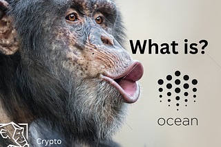 What is Ocean Protocol (OCEAN)?: Data Exchange and Monetization