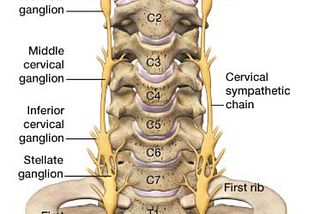 How Can Non-invasive Stellate Ganglion Block Help You?