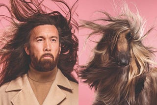 A photographer captured photos of 15 pairs of dogs and their owners that look hilariously alike