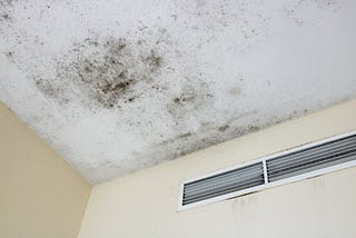 Does Sunlight Kill Mold? The Truth About UV Rays and Mold Growth