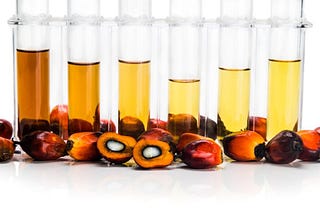 Palm oil and biodiesel in Europe — where are we now?