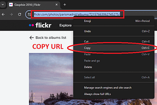 How to bulk download Flickr photos and albums