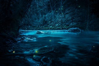 A nighttime scene of a shallow river with trees on the banks