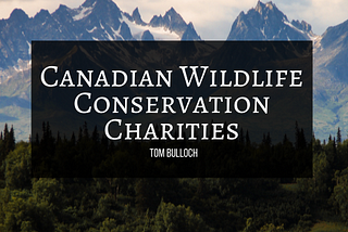 Canadian Wildlife Conservation Charities