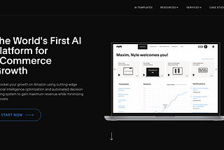 Website UX review for Nyle.ai