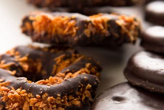 Crumbling Path to Success: Business Insights from Girl Scout Cookies