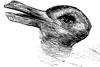 Image that looks like a rabbit or a duck.