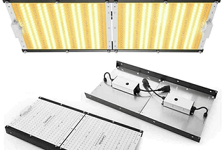 What type of LED is best for growing plants? 2021 Updated
