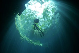 Discovering Depth and Serenity: The Molchanovs Tulum Experience