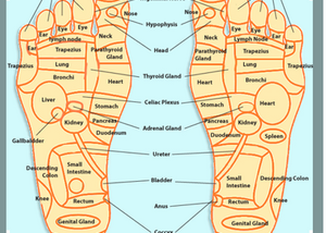 Japanese people explained! [Chapter 1] What is acupuncture?