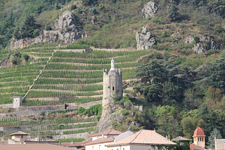 Rhone vineyard view Tain-l'Hermitage