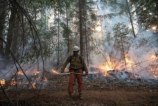The Tragedy of the West Coast Wildfires