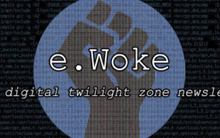 Welcome to e.Woke #43: Privacy Please!
