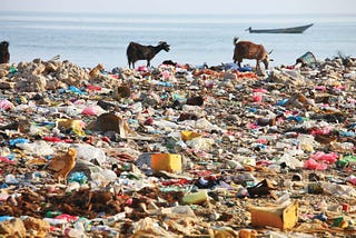 Plastic Pollution: A Crisis Threatening Our Planet and What We Can Do About It