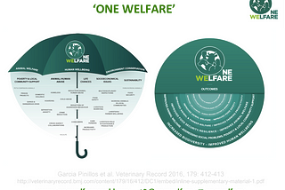 【AWSEL議題】消費者的力量與市場機制 — 符合「福利一體(One Welfare)」之消費選擇