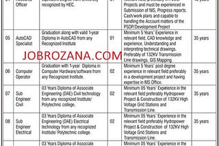 Water & Power Development Authority WAPDA Jobs 2023 — Job Rozana