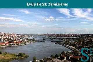 Eyüp Petek Temizleme