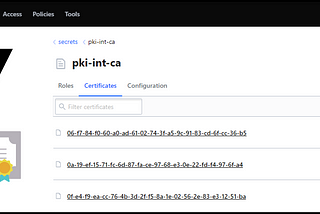 Vault PKI Secrets Engine