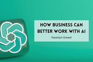 How Business Can Better Work With AI | Navanjun Grewal | Professional Overview
