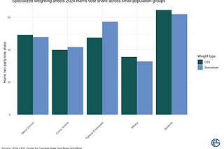 The issue with analyzing small groups in large-N surveys (and how to address it)