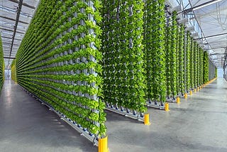 Optimizing Eco-friendly Greenhouse Solutions with Blockchain