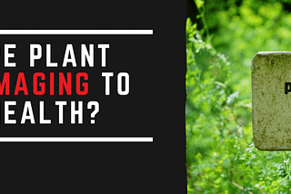 The Hidden Dangers Of Plant Toxins | Fit Awakening