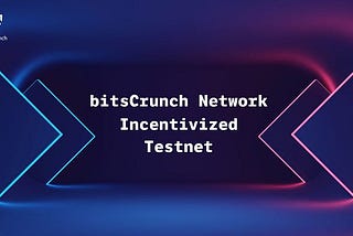 Сеть bitsCrunch. Вознаграждаемый тестнет.