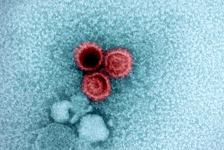 The Quest to Eradicate Multiple Sclerosis with Epstein-Barr Virus (EBV) Vaccine