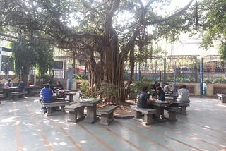 Under The Shade of Banyan Tree