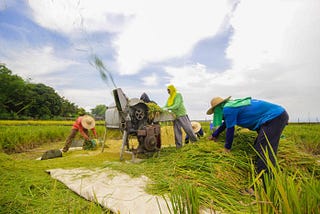 Agritech: Feeding the needs of a growing Filipino population