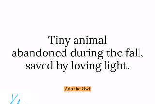 Tiny animal \\ abandoned during the fall, \\ saved by loving light. — Ado the Owl HAIKUPRAJNA