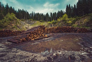 Stories from the Field: Shaping State Policy with Science