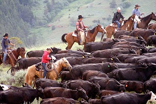 Cattle, Slaves and Automobiles: Driving Dangerously With Management Clichés