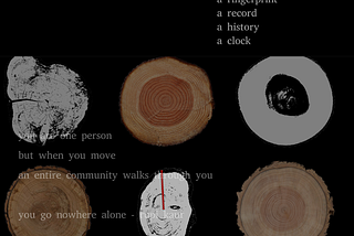 An image of tree rings, with overlaid text: At the top right, “What I saw in the forest: a tree trunk, a fingerprint, a record, a history, a clock”; at the bottom left: “you are one person, but when you move, an entire community walks through you, you go nowhere alone — rupi kaur”