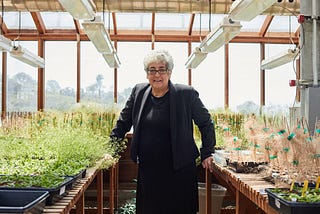 4 Mad Scientists Using Superplants to Solve Climate Change