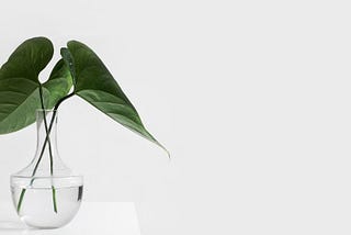 Designing a Digital Product? Feng Shui Might Offer Surprising Insights
