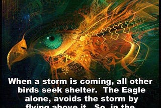 Storms Of Life