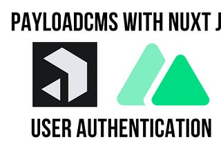 Payload CMS -Authentication in Nuxt Using a Custom Plugin