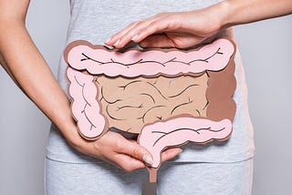 Partial view of woman holding paper made large intestine on grey background stock photo