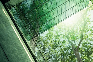 Image of tree nd glass windows