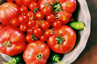 How to Grow Bigger and Better Tomatoes and More of Them