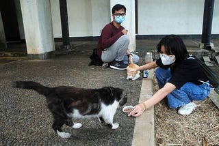 Koran Tempo — Penyantun Kucing Kampus Padjadjaran