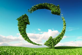 Are there any limits to sustainability and sustainable development? | Alfa Infraprop Pvt Ltd