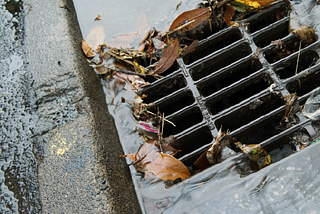 Love in the Time of Combined Sewer Overflow