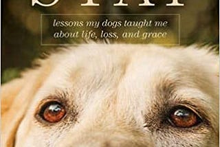 READ/DOWNLOAD*@ Stay: Lessons My Dogs Taught Me about Life, Loss, and Grace FULL BOOK PDF & FULL…