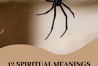 Spiritual Meaning of Black Spiders in Dreams: Unveil Mysteries