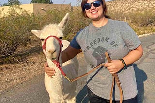 How I Fell in Love at an Alpaca Farm